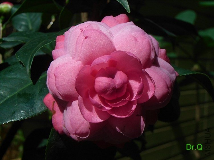 0227-e.JPG