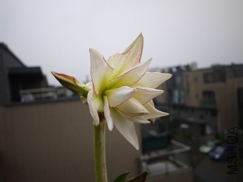 P1010653.jpg