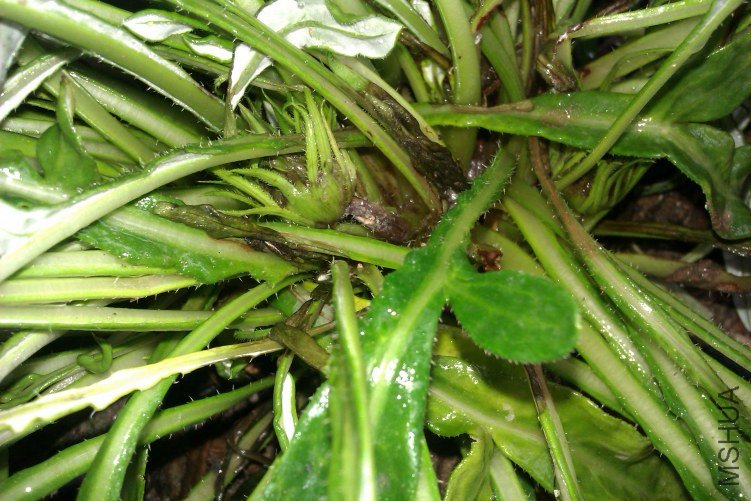 IMAG0143.jpg