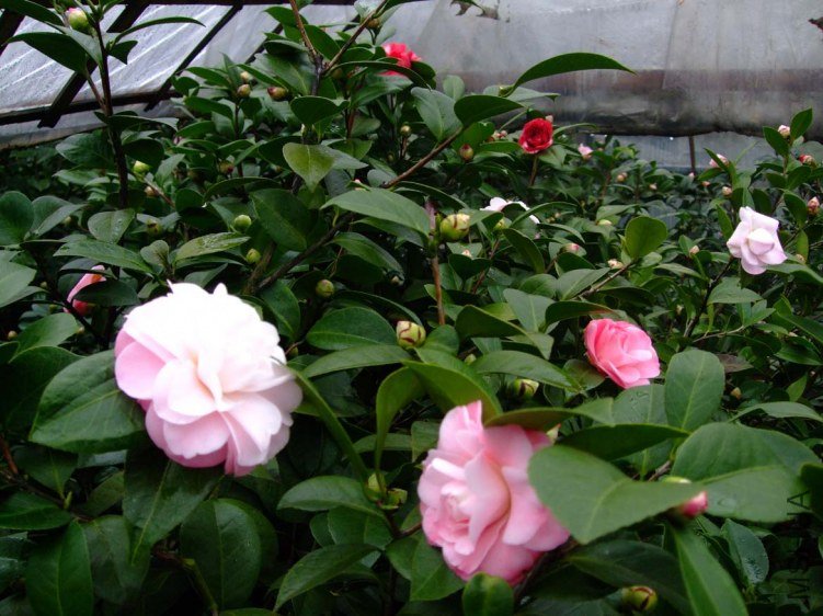 �軨԰ 2012-2-28 .jpg