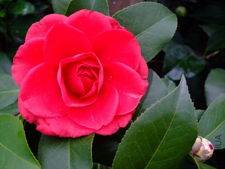 ���� 2012-2-28 .jpg