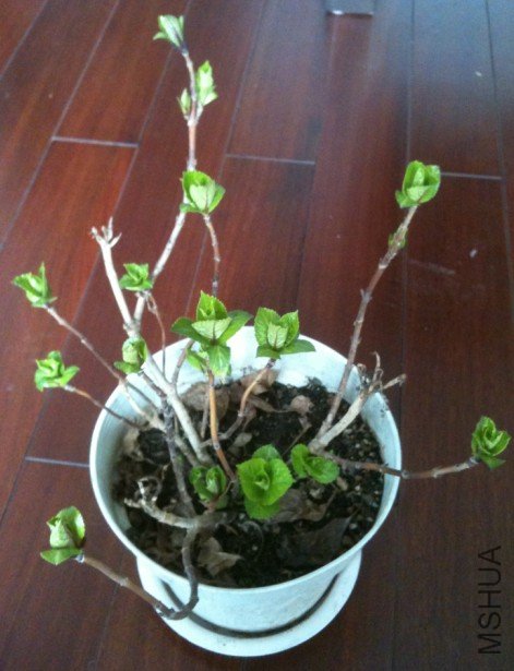 ����20120228.jpg
