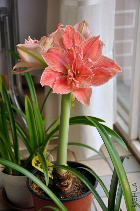��Ƭ 054.jpg
