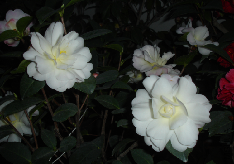 QQ��ͼ20120229090612.png