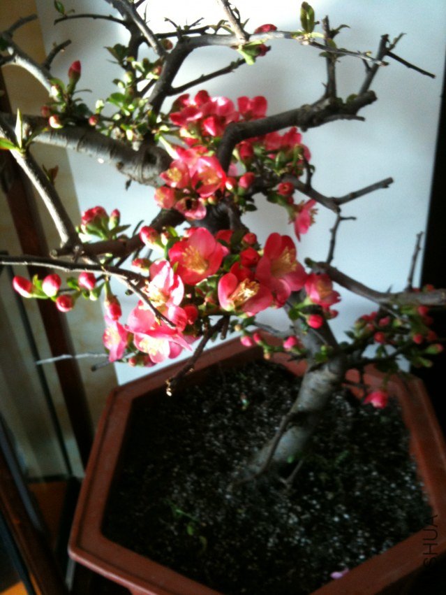 20120131ĵ�� 020.jpg
