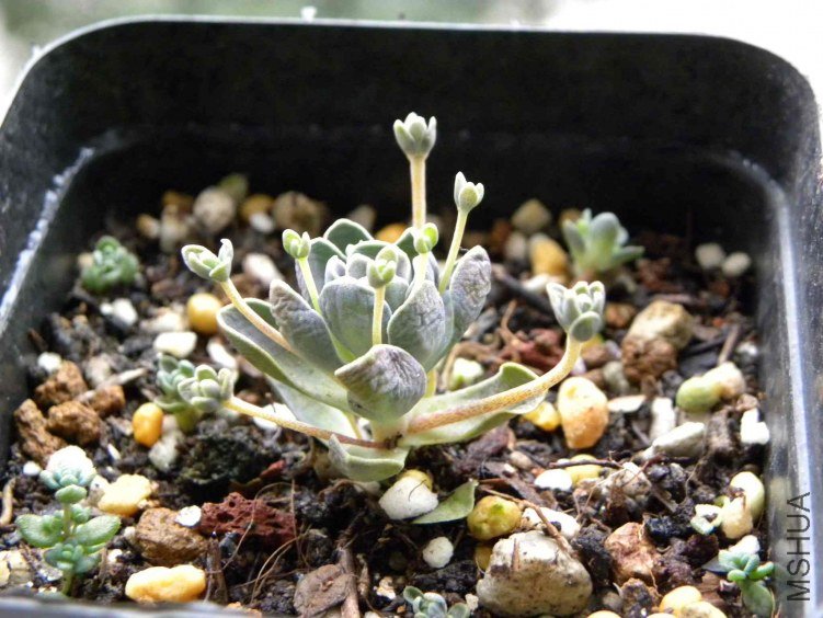 ��Ƭ 040.jpg