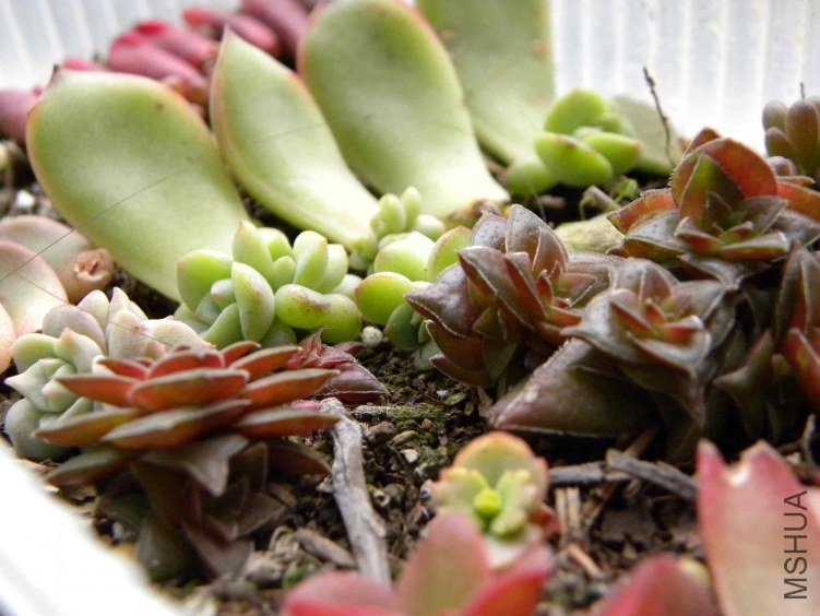 ��Ƭ 043.jpg