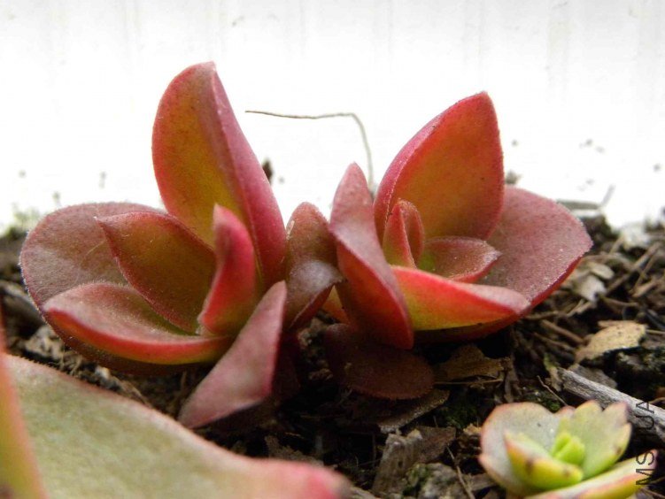 ��Ƭ 045.jpg
