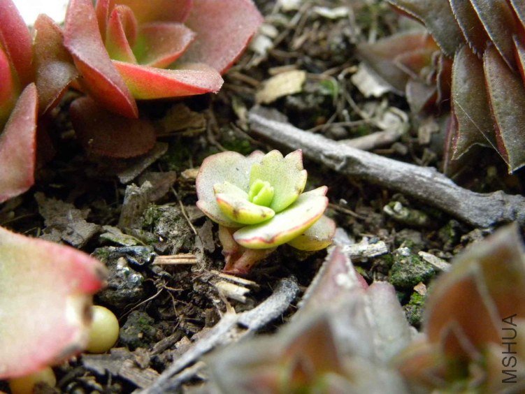 ��Ƭ 046.jpg