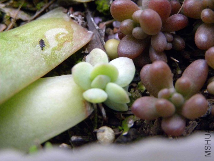 ��Ƭ 048.jpg