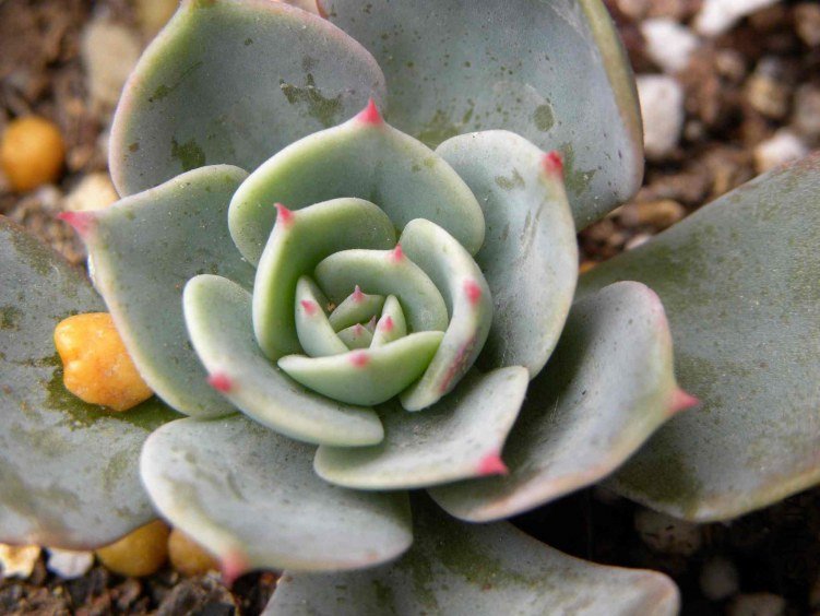��Ƭ 051.jpg