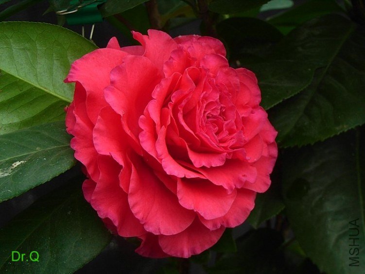 0301-1.JPG