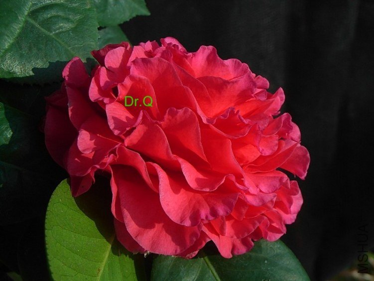 0301-6.JPG