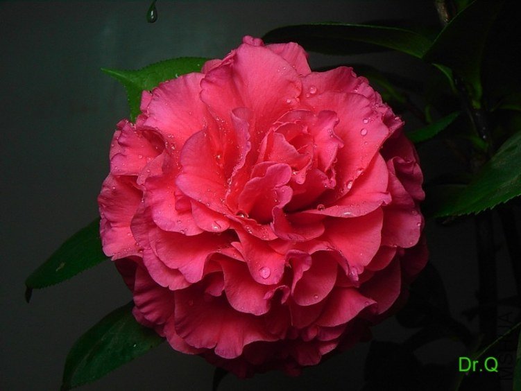 0301-7.JPG
