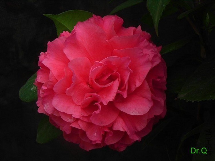 0301-9.JPG