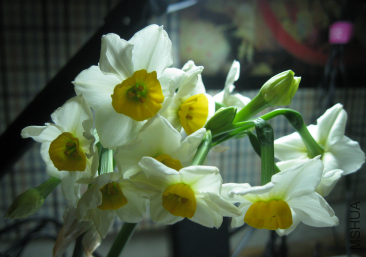 QQ��ͼ20120302133012.png
