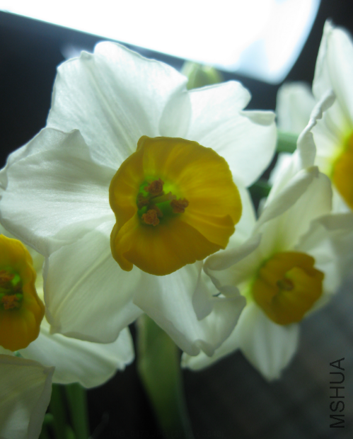 QQ��ͼ20120302133047.png
