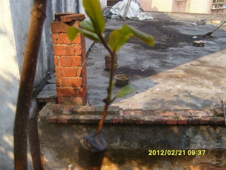 ȥ��10�½ӵģ��е����ڶ�����ѿ