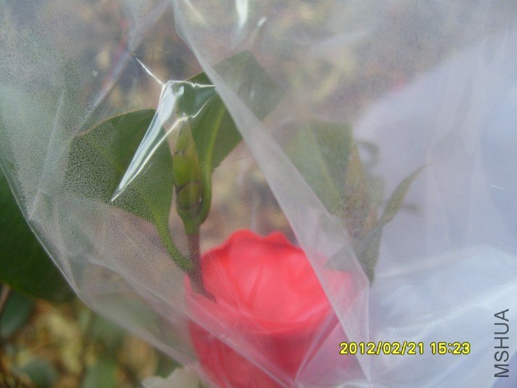 2��18���� �ȴ���