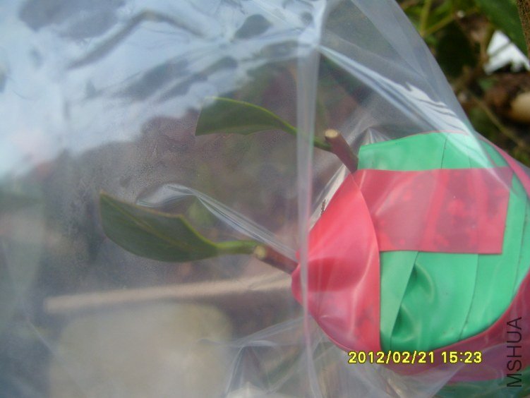 2��18�ӱ���