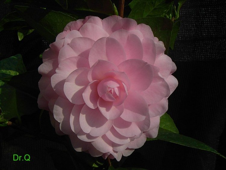 0302-5.JPG