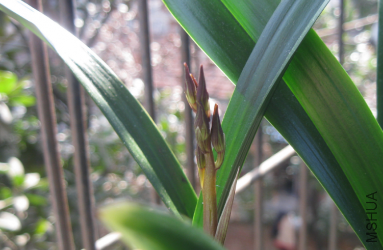 QQ��ͼ20120302164700.png