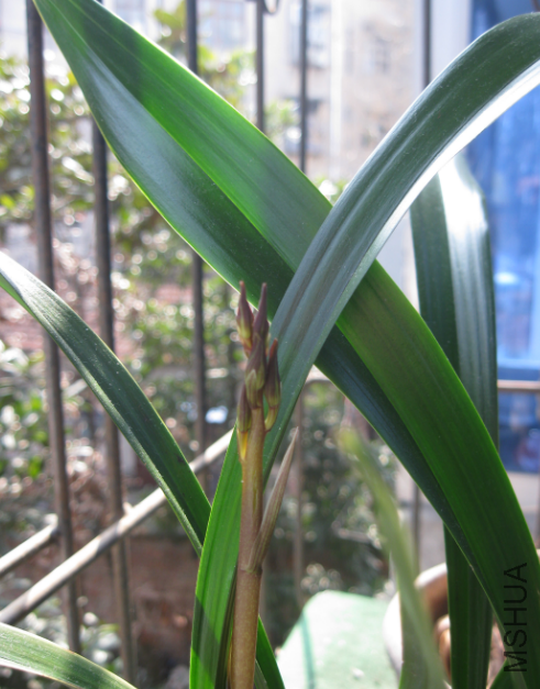 QQ��ͼ20120302164726.png