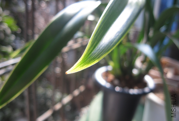 QQ��ͼ20120302164747.png