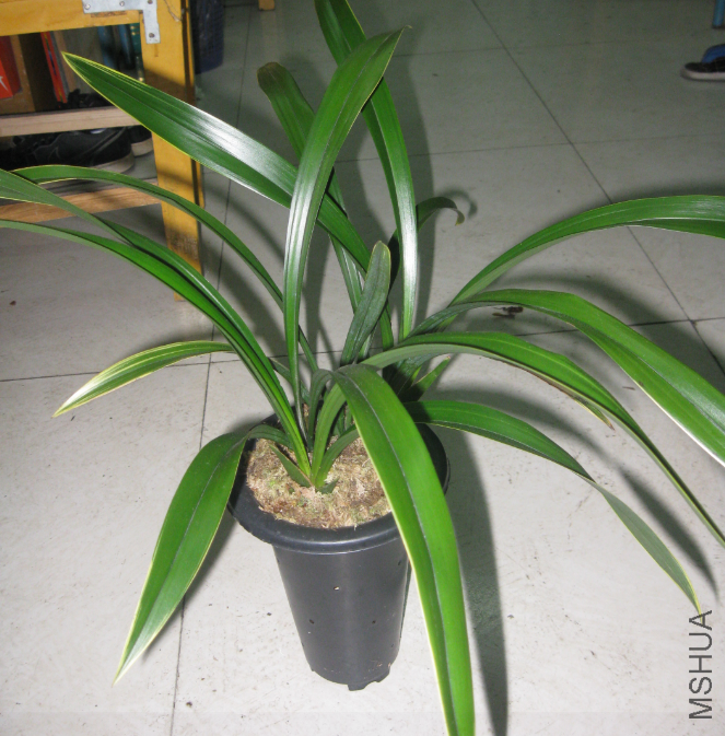 QQ��ͼ20120302164852.png