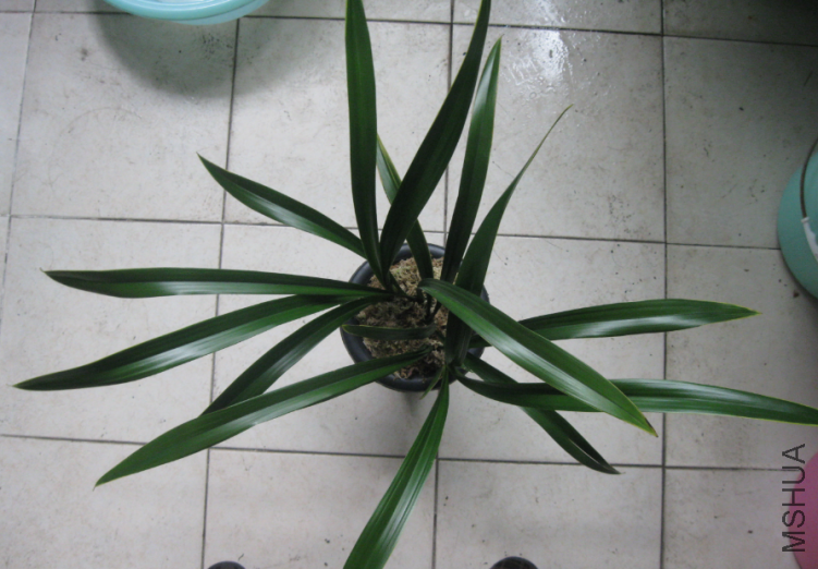QQ��ͼ20120302164916.png