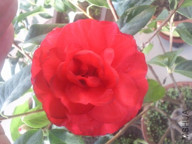 ��Ƭ0341.jpg