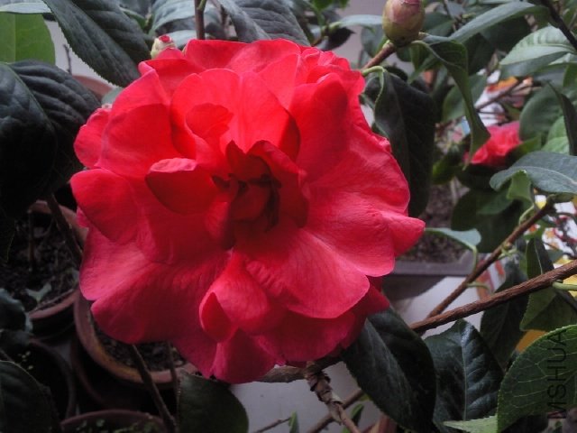 ��Ƭ0373.jpg