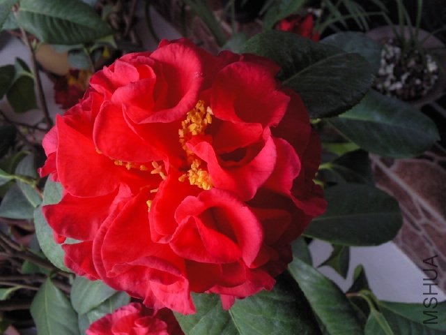 ��Ƭ0374.jpg
