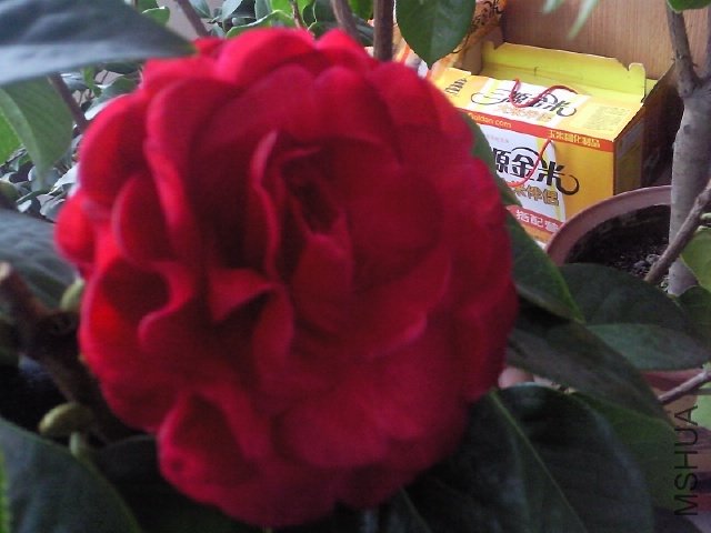 ��Ƭ0380.jpg