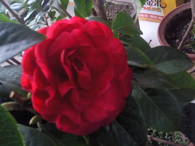 ��Ƭ0381.jpg