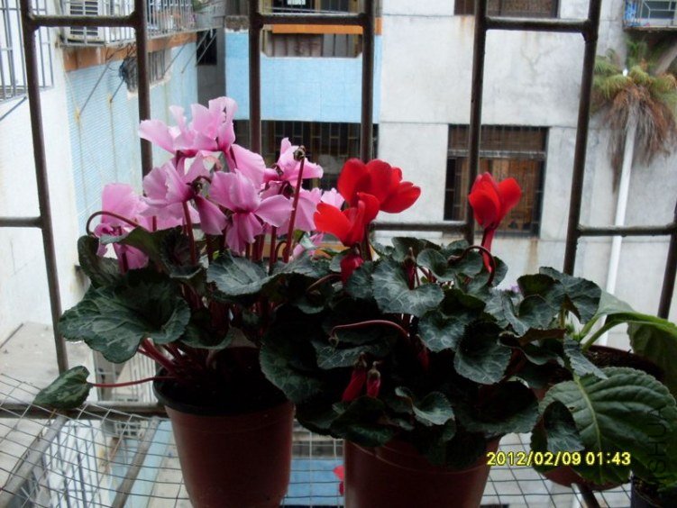 SDC10518_nEO_IMG.jpg