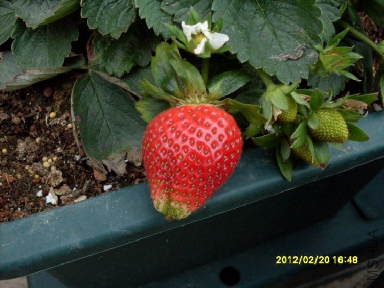 SDC10698_nEO_IMG.jpg