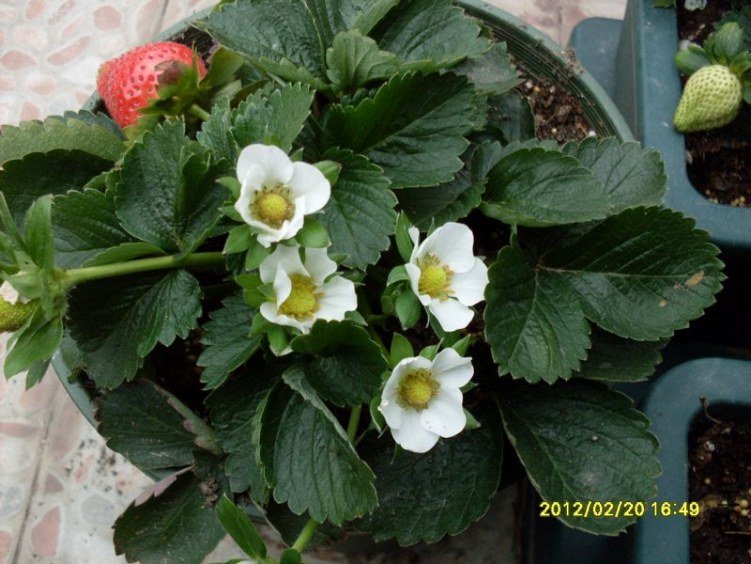 SDC10700_nEO_IMG.jpg
