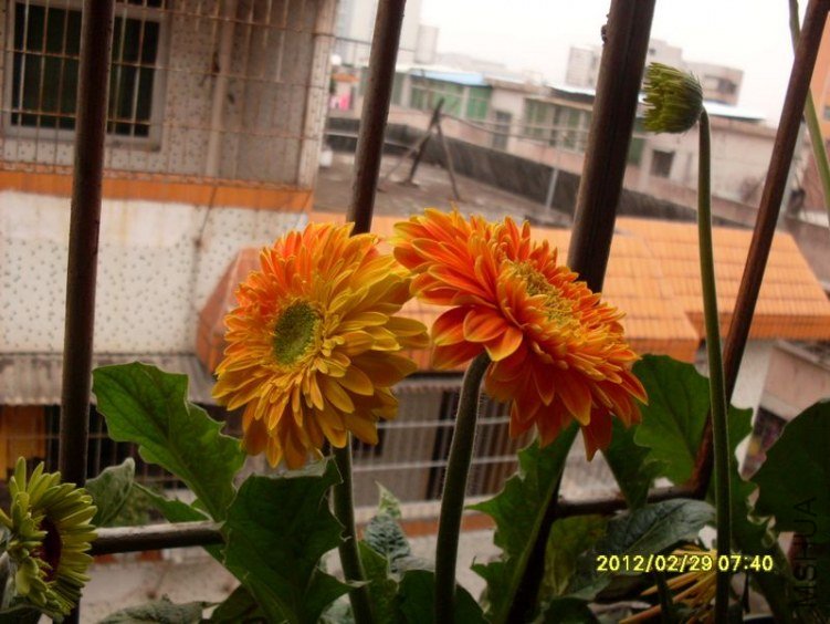 SDC10786_nEO_IMG.jpg