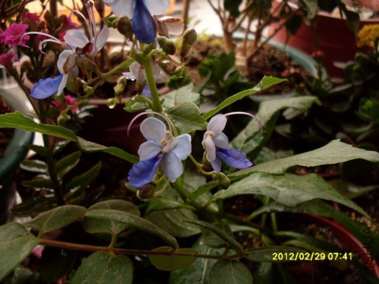 SDC10793_nEO_IMG.jpg