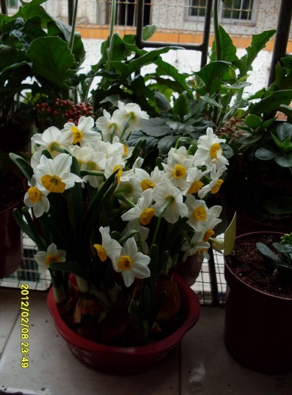 SDC10434_nEO_IMG.jpg