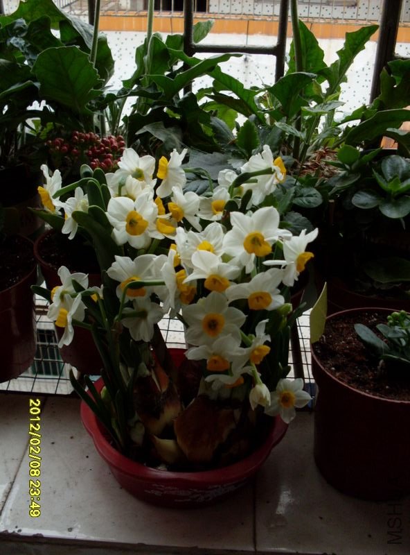 SDC10433_nEO_IMG.jpg