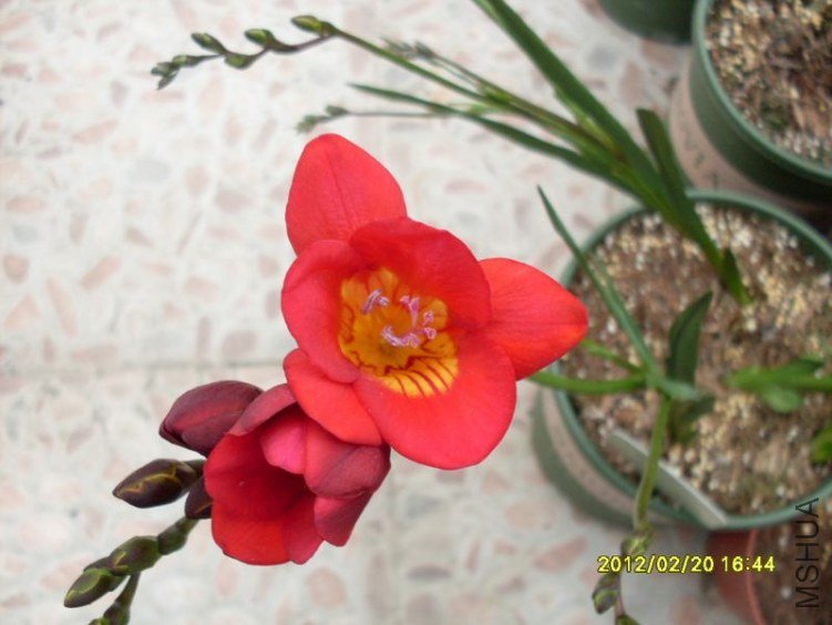SDC10685_nEO_IMG.jpg