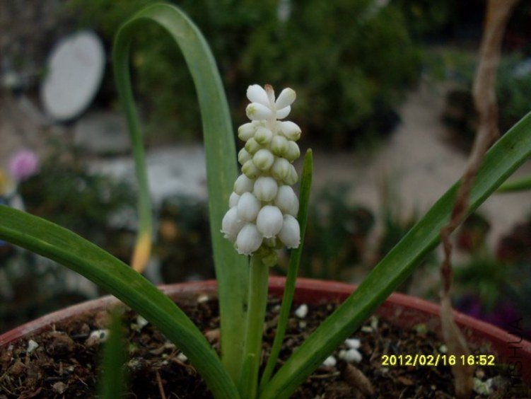 SDC10649_nEO_IMG.jpg