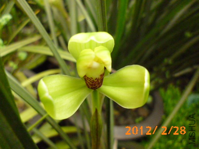 P1000425.JPG