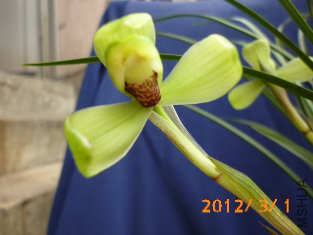 P1000529.JPG