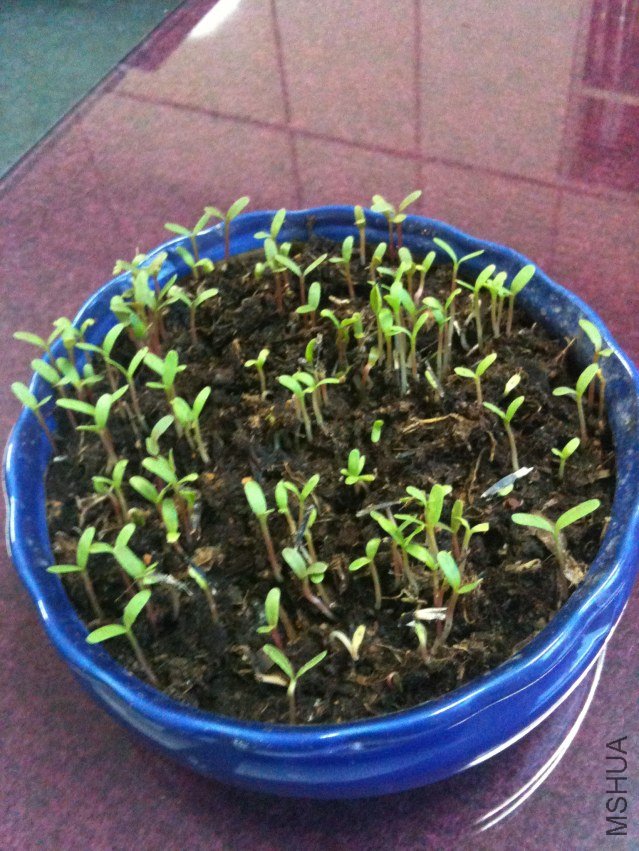 ���� 092.jpg