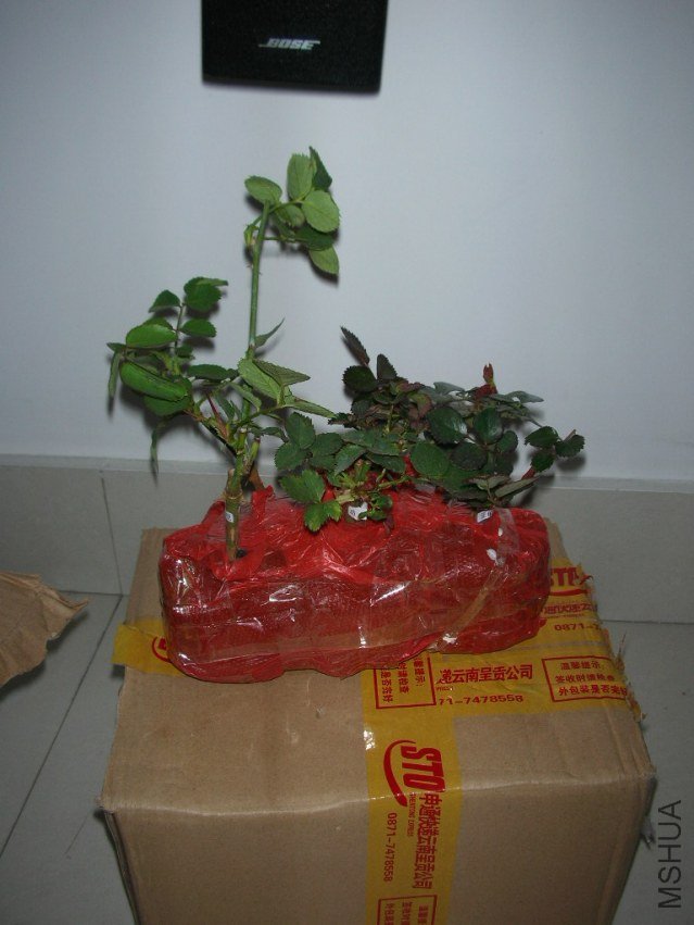 DSCN3390.JPG