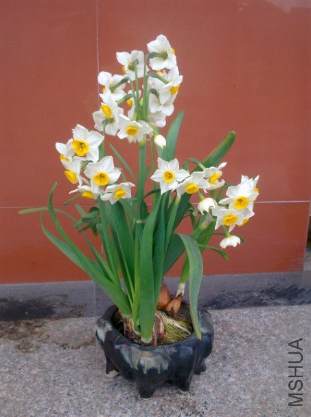 ~{5W2WX5T(W`P647EY]1FLB.jpg