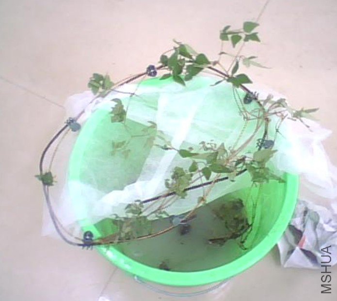 С��6-2012-3-4.JPG